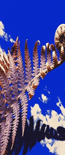 Fredrik Andersson, grundare grunden.ai